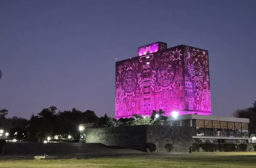 Inicia UNAM proceso de asignación de más de 90 mil becas