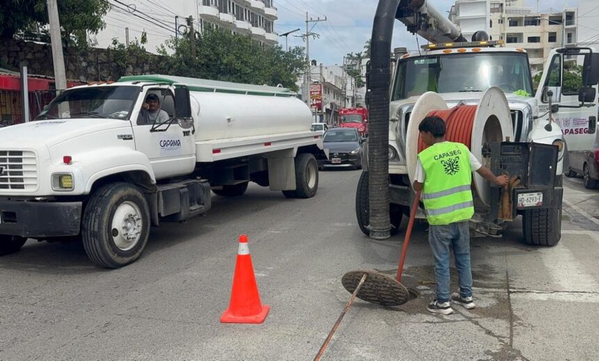 La limpieza se realizó en Caleta y Caletilla, en la zona Tradicional del puerto