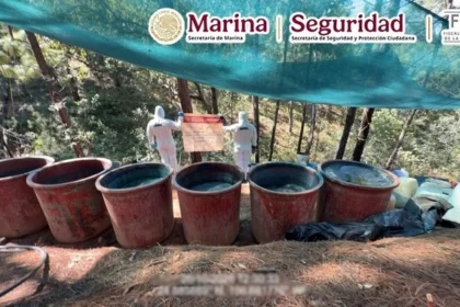 Aseguran dos laboratorios clandestinos de metanfetamina en Durango