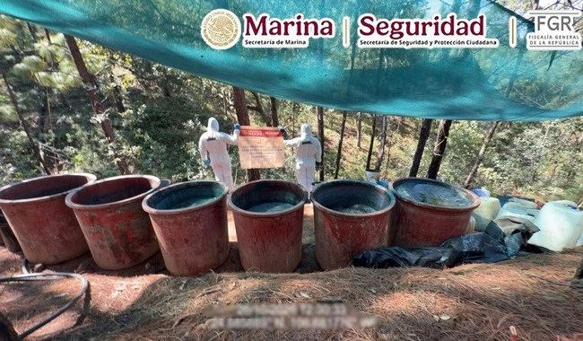 Aseguran dos laboratorios clandestinos de metanfetamina en Durango
