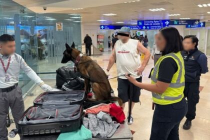 Aseguran 10 kg de cocaína en una maleta en Aeropuerto de Cancún