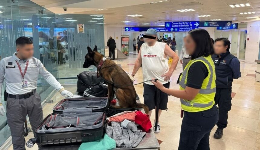Aseguran 10 kg de cocaína en una maleta en Aeropuerto de Cancún