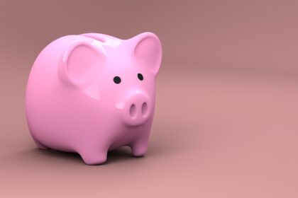 Tips infalibles para cuidar tus ingresos